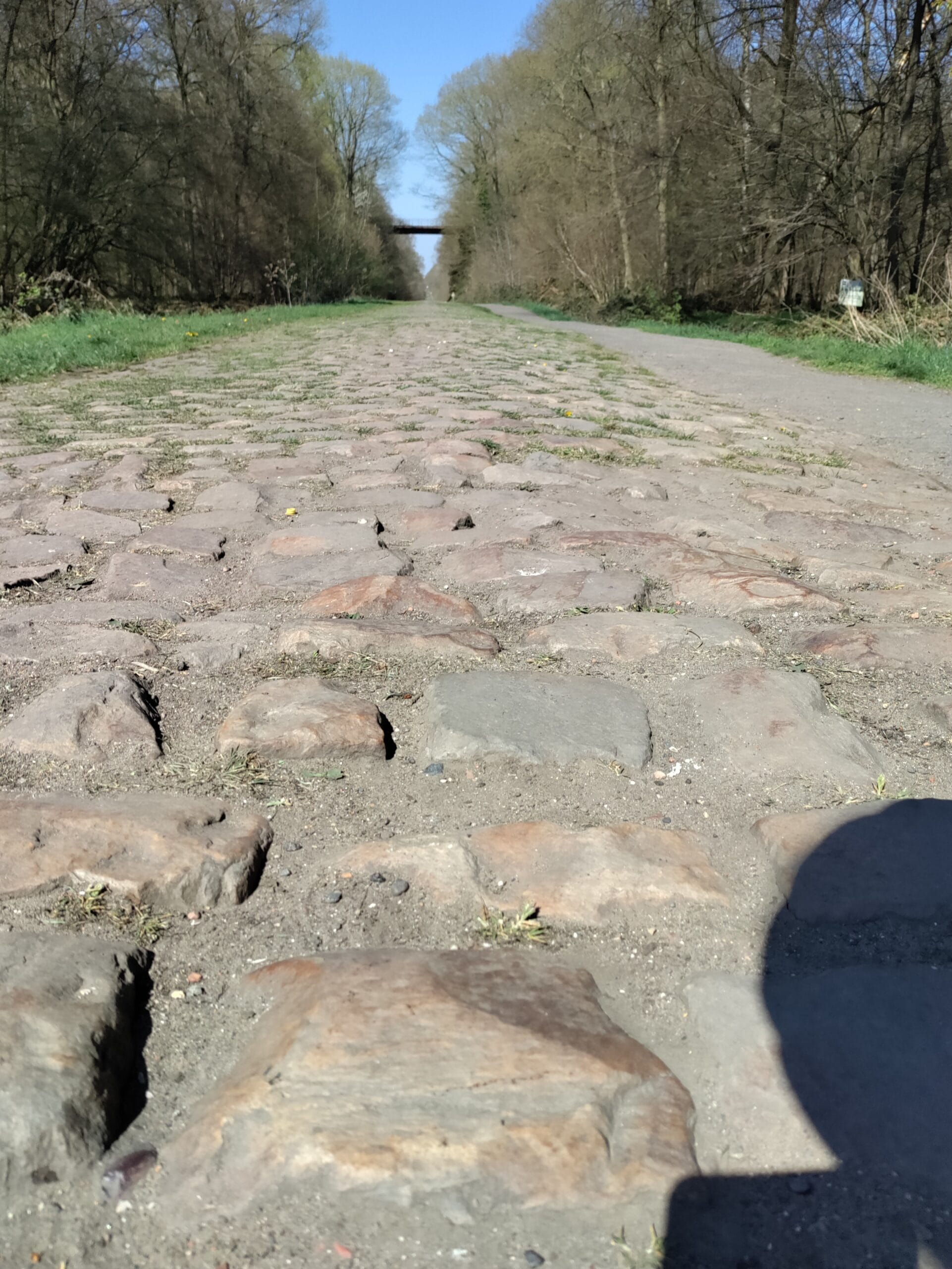 Pavé de la Trouée d’Arenberg en Paris-Roubaix